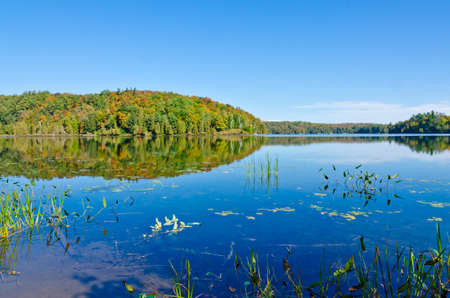Forest lake in sunny aurumn day in Canada