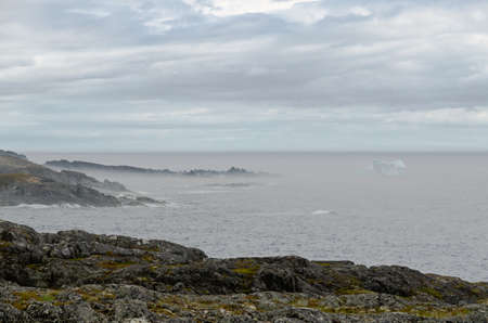 Newfoundland coast in summer timeの写真素材
