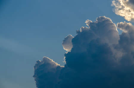 Sunlit whine and gray clouds on blu sky.