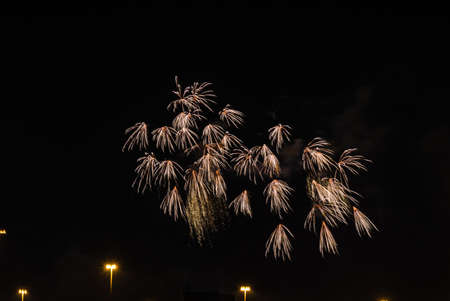 Color fireworks on black sky backgroundの写真素材
