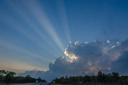 Sunlit whine and gray clouds on blue sky.