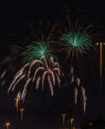 Color fireworks on black sky background