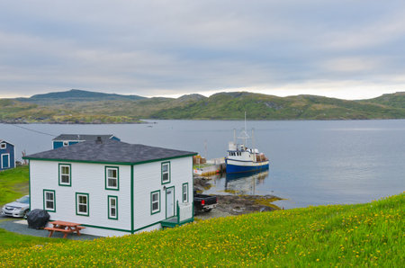 Newfoundland coast in summer timeの写真素材
