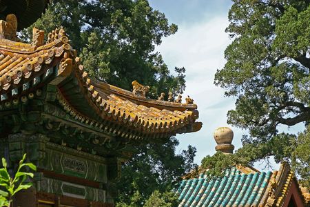 Ellow China roof in green