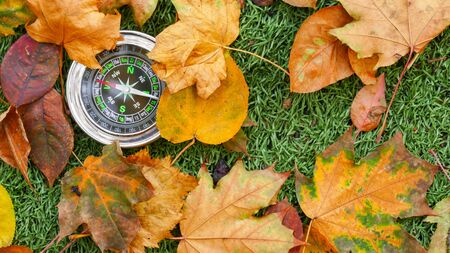 Use Compass In The autumn Forestの写真素材