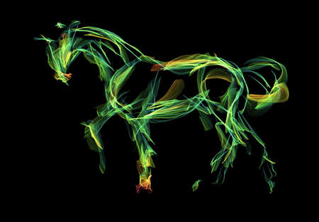 Horse on black backgroundの写真素材