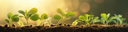 Young Plant Growing In Sunlight. Ai generativeの素材