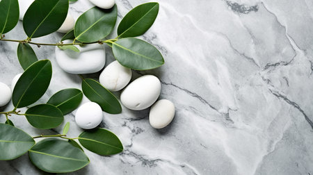 Spa stones and leaves on grey background.の素材