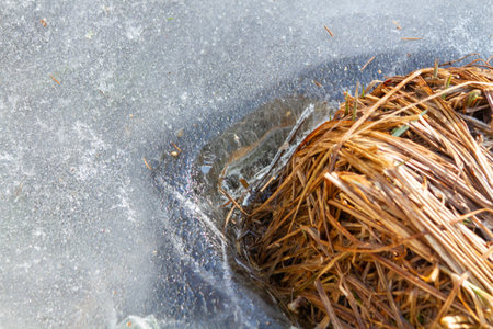 Melting ice: the transition from winter to spring.