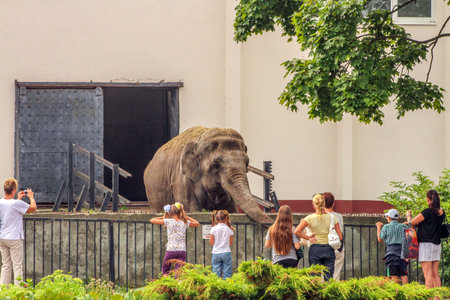 Group of people including children and adults watching elephant in zoo enclosure. Concept of wildlife conservation, family fun, zoo tourism and education.の写真素材