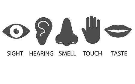 Vector illustration, flat design. Human senses iconのイラスト素材