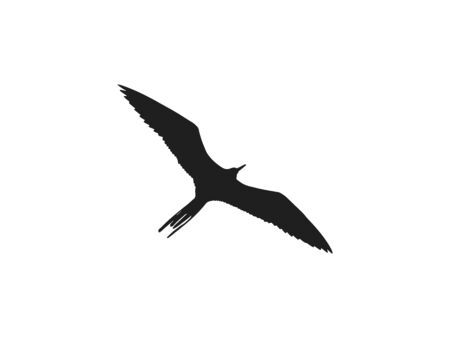 Vector illustration, flat design. Bird nature iconのイラスト素材