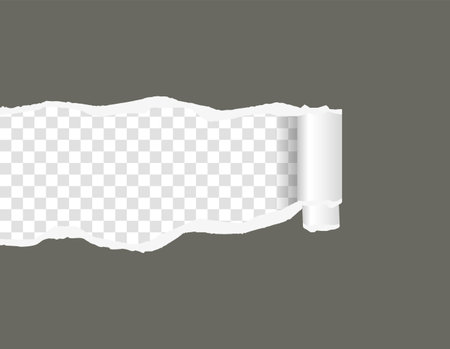 Ripped paper. Torn, ripped pieces. Vector illustration.のイラスト素材