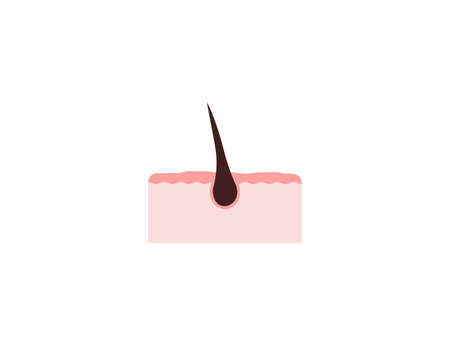 Hair, hair follicles, root icon. Vector illustration.のイラスト素材