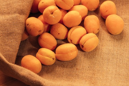 fresh ripe orange apricot closeup on sackcloth background.の写真素材