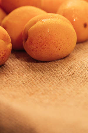 fresh ripe orange apricot closeup on sackcloth background.の写真素材