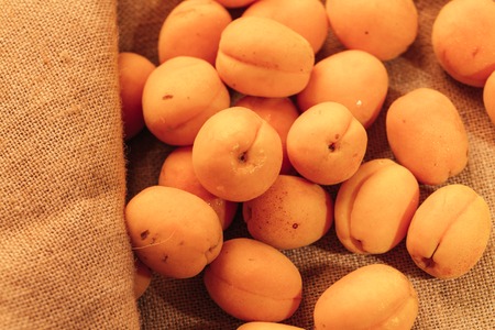 fresh ripe orange apricot closeup on sackcloth background.の写真素材