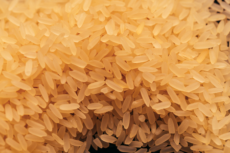 many of fresh white rice grains background.の写真素材