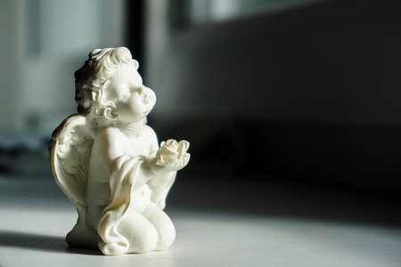 Little angel prays to the lightの写真素材