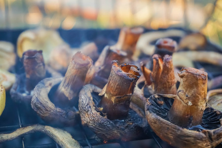 Grilled champignons with grilled vegetablesの写真素材