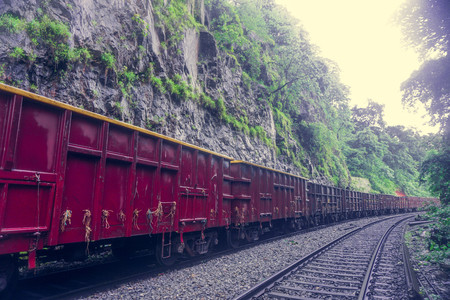 Railway in the jungle