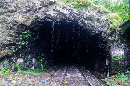 Wild railway tunnel in the jungle in Karnataka state. Indiaの写真素材