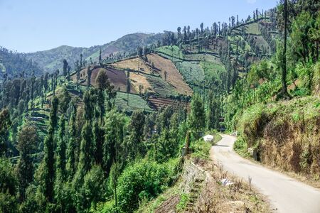 Mountain road to the volcano bromo