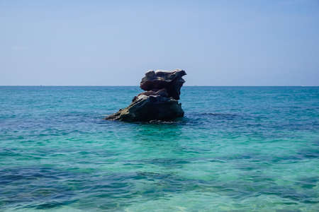 Flora and fauna of the tropical Phi Phi islands in Thailand