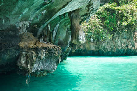 Flora and fauna of the tropical Phi Phi islands in Thailandの写真素材