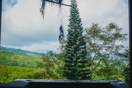 Abandoned hotel on Bali island in Indonesiaの写真素材