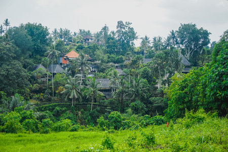 Beautiful Balinese landscape and village