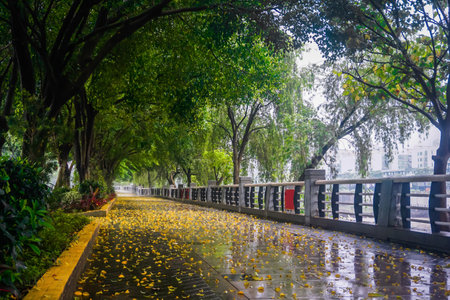 Empty park pedestrian road in China in rainy weatherの写真素材