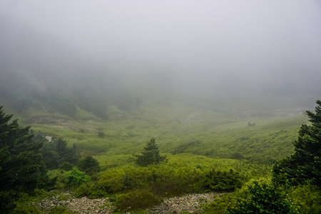 Hehuan mountain peak in fogの写真素材