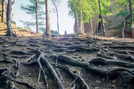 Krasnoyarsk Pillars Nature Reserve is one of the unique places in Russiaの写真素材