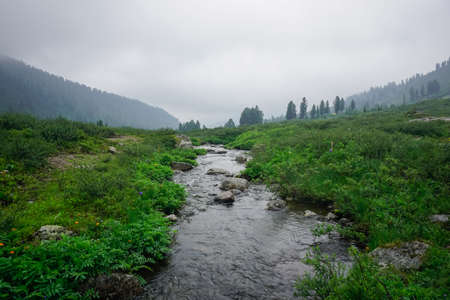 A stream in the taiga of the Ergaki natural park