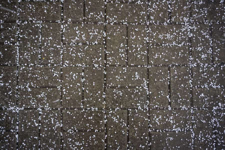 Snow crumbs on paving slabs, background