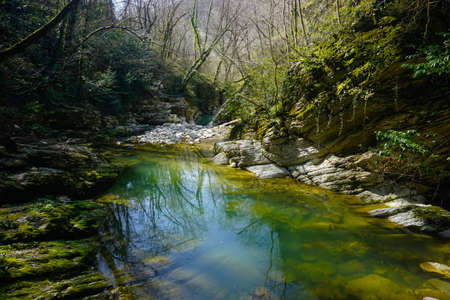 Beautiful mountain river in the gorge
