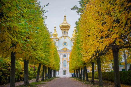 Autumn alley and the Church building of the Grand Palace in Peterhofのeditorial素材