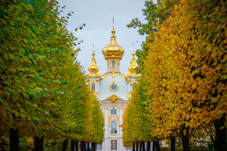 Autumn alley and the Church building of the Grand Palace in Peterhofのeditorial素材