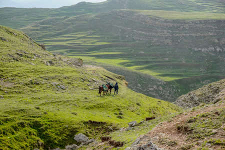 A man with horses walks through the mountains in Dagestanの写真素材
