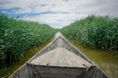 Wooden fishing boat in the middle of huge grass in the bay