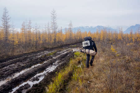 The hiker walks along a muddy road in the taiga in Trans-Baikal Territory