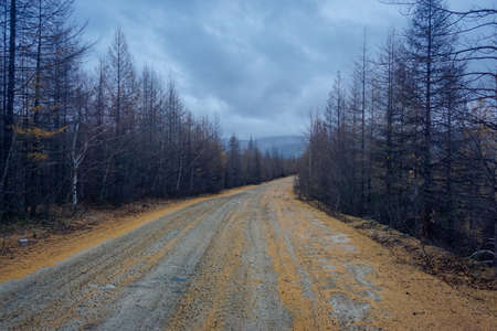 Gravel road in the taiga in the Trans Baikal Territoryの写真素材