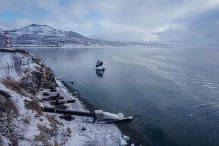 Wild Sea Lions of Petropavlovsk Kamchatsky Coast in Kamchatkaの写真素材