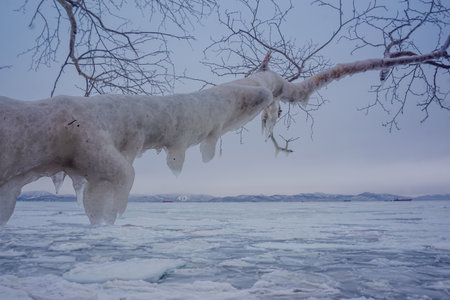 The frozen coast of Avacha Bay in winter in Kamchatkaの写真素材