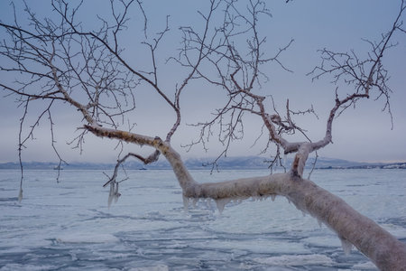 The frozen coast of Avacha Bay in winter in Kamchatkaの写真素材