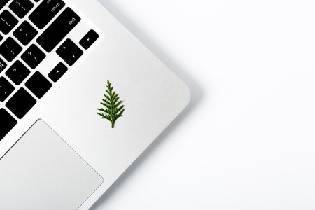 New year pine tree laying on isolated laptop. Space for your text. Space for your text. creative conceptの写真素材