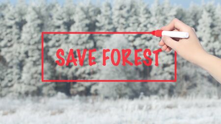 Woman Hand Writing Save Forest with marker over transparent board. Isolated on snowy forest. Business concept. Business concept.の写真素材