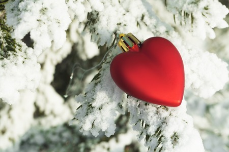 Toy heart lay on the pine snowy pine tree outdoorの写真素材