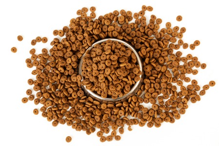 Pet food into the bowl for feeding and dropped dog feed.の写真素材